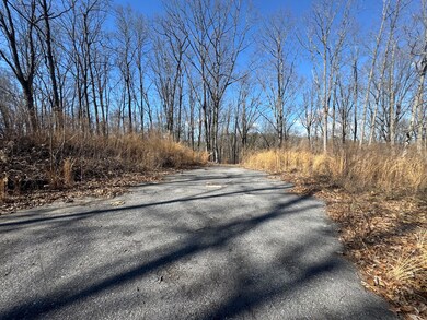 Tract 37 Village Dr, Cohutta, GA 30710 - photo 6