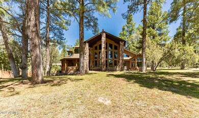 4 Backyard