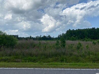 Lot 2 Berley Mc Rd, Conway, SC 29526 - photo 5