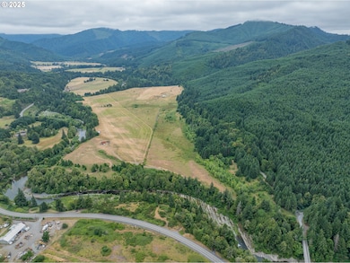 45651 Johnson Mountain Rd, Powers, OR 97466 - photo 2