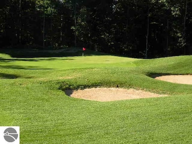 71 Broadwinged Way, Bellaire, MI 49615 - photo 4