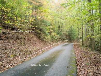 0 Calloway Cove Rd unit 418978, Hiawassee, GA 30546 - photo 4