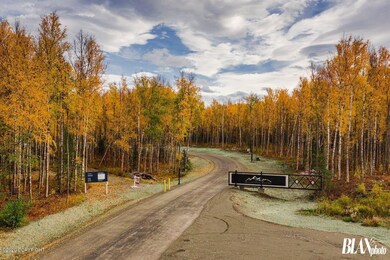 B3 L7 W Chigmit Cir, Wasilla, AK 99654 - photo 5