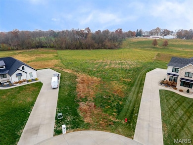 4650 Wyatt Way, Aviston, IL 62293 - photo 3