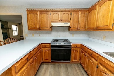 17 Oak Creek Dr, Conway, AR 72032 - photo 3