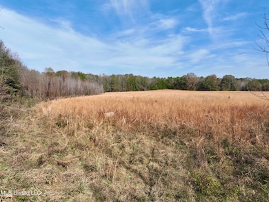 0001 Pisgah Bottom Rd, Canton, MS 39046 - photo 3