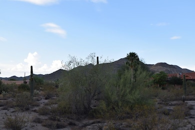 looking north