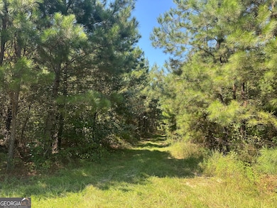 001 Cleghorn Dr, Tallassee, AL 36078 - photo 5