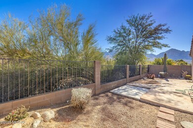 Back Yard View
