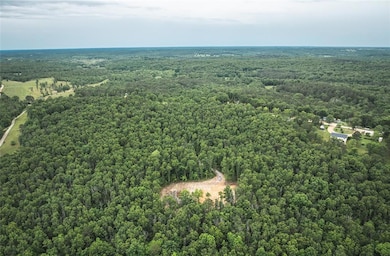 12828 Cadle Rd, Sherrill Township, MO 65542 - photo 3