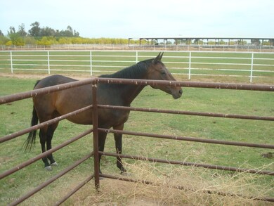 Friendly Neighbors