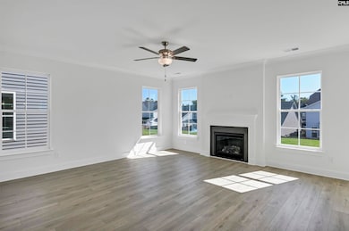 620 Thunder Gulch Ave, Lexington, SC 29073 - photo 2