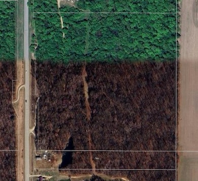 0 Illinois 1, Flat Rock, IL 62427 - photo 2