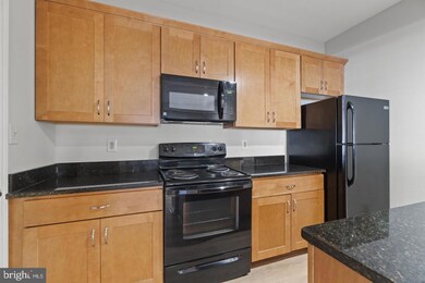 3909 Penderview Dr unit 1904, Fairfax, VA 22033 - photo 7