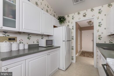 Heather Ridge unit 410, Baltimore, MD 21209 - photo 5
