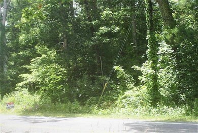 DCP_0512 (1)