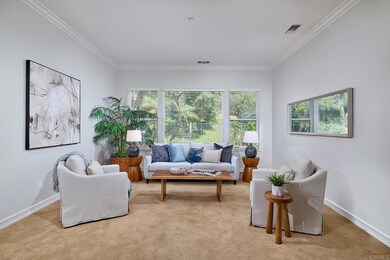 517 Hidden Ridge Ct, Encinitas, CA 92024 - photo 6