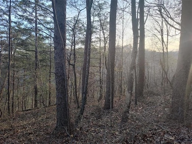 View of local wilderness