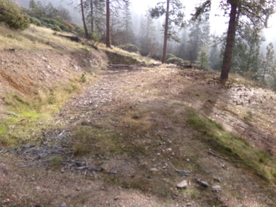 XXX Don St, Fort Jones, CA 96032 - photo 2