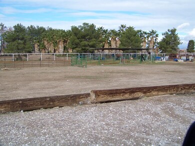 Backyard/ horse stalls