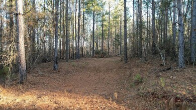 0 Jefferson Davis Rd unit 25510658, Mountville, SC 29370 - photo 4