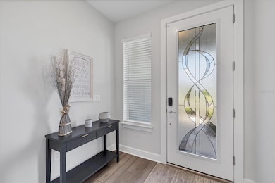 10658 Spring Tide Way, Parrish, FL 34219 - photo 7