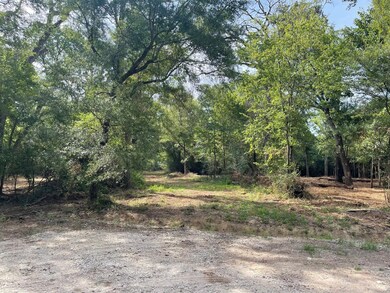 0 Trailwood Dr, Crockett, TX 75835 - photo 6