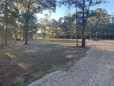 24102 Pinewood Valley Dr, Hockley, TX 77447 - photo 6