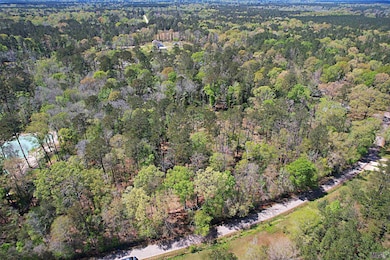 TBD Tyler Ballard Rd, Walker, LA 70785 - photo 2