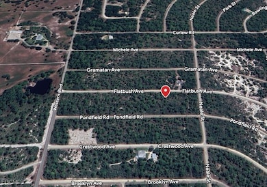 3234 Flatbush Ave, Lake Placid, FL 33852 - photo 2