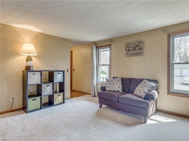 Pretty neutral colors and nice plush carpet in the
