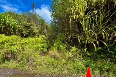 16-1495 Io Kea Rd, Mountain View, HI 96760 - photo 4