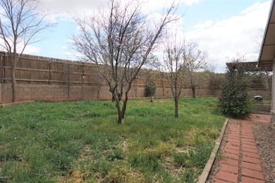 Back Yard-Fruit Trees