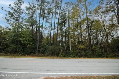 861 Roberts Rd, Newport, NC 28570 - photo 5