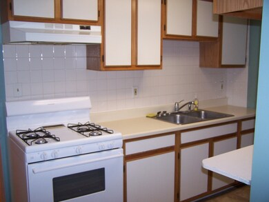 1st floor kitchen with Euro cabinets
