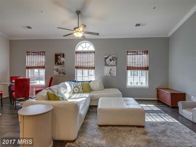 24632 Johnson Oak Terrace unit 24632, Sterling, VA 20166 - photo 6