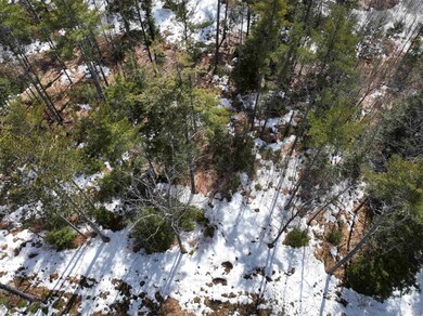 0 Eagle Shore Rd unit 4947385, Moultonborough, NH 03254 - photo 2