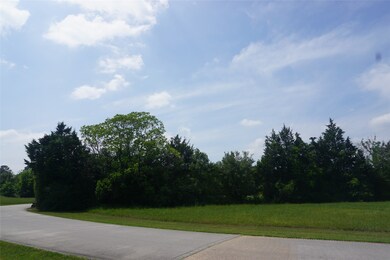 22115 Meadowhurst Cir, Tomball, TX 77377 - photo 6