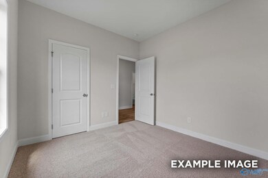 225 Pine Island Ave, Toney, AL 35773 - photo 6