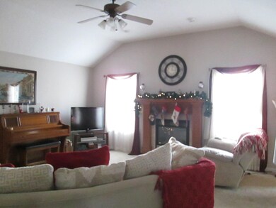 Fireplace in Lliving Room