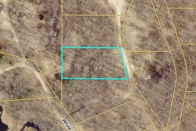 L4B1 Shady Ln, Crosslake, MN 56401 - photo 2