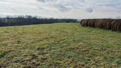 360-4 Mulligan Rd, Dry Ridge, KY 41035 - photo 5