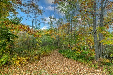 00 Rawson Ave, Camden, ME 04843 - photo 3