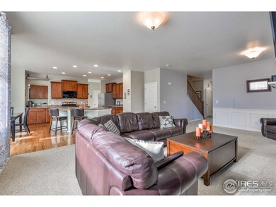 6351 Spring Valley Rd, Timnath, CO 80547 - photo 5