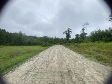 02-Photo 2
