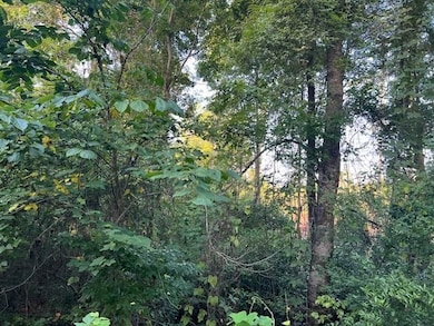 0 Curry Rd, Monroeville, AL 36460 - photo 5