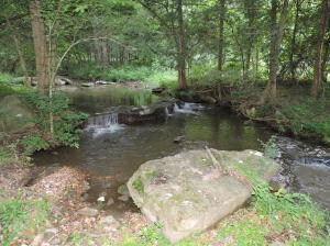 4-creek
