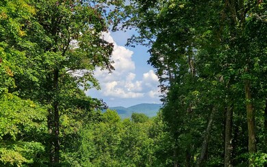 Additional View