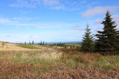 34371 Bluegrass St, Anchor Point, AK 99556 - photo 3