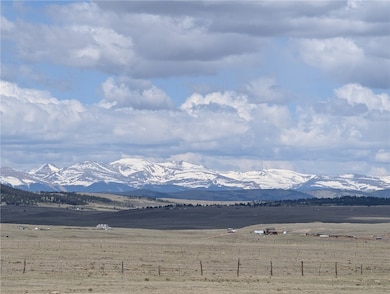 1920 Badger Basin Rd, Hartsel, CO 80449 - photo 6